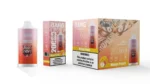 Urządzenie jednorazowe Puff 20k Bang Leader Vape 20000 Mango Peach