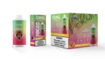 Urządzenie jednorazowe Puff 20k Bang Leader Vape 20000 Strawberry Watermelon