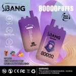 Puff 80k Bang Leader Disposable Vape Cola Ice Blueberry Raspberry Peach Mango Watermelon Device
