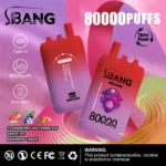 Puff 80k Bang Leader Disposable Vape Strawberry And Watermelon Grape Ice Rainbow Candy Device