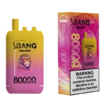 Puff 80k Bang Leader Disposable Vape Pic1 Device