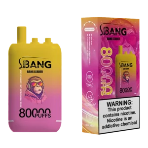 Puff 80k Bang Leader Disposable Vape Pic1 Device