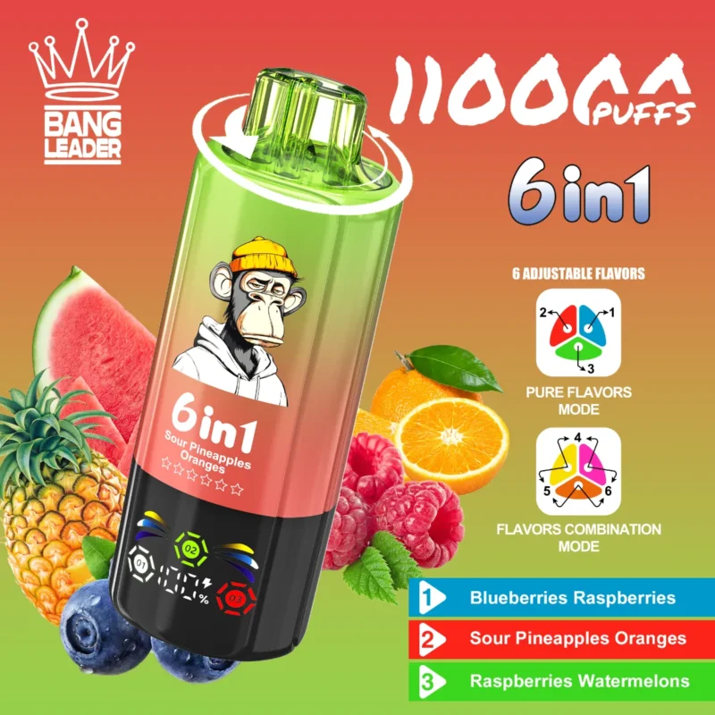Vape 110k Bang Leader Blueberries Raspberries Sour Pineapples Oranges Watermelons Disposable Device