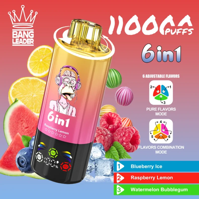Vape 110k Bang Leader Blueberry Ice Raspberry Lemon Watermelon Bubblegum Disposable Device
