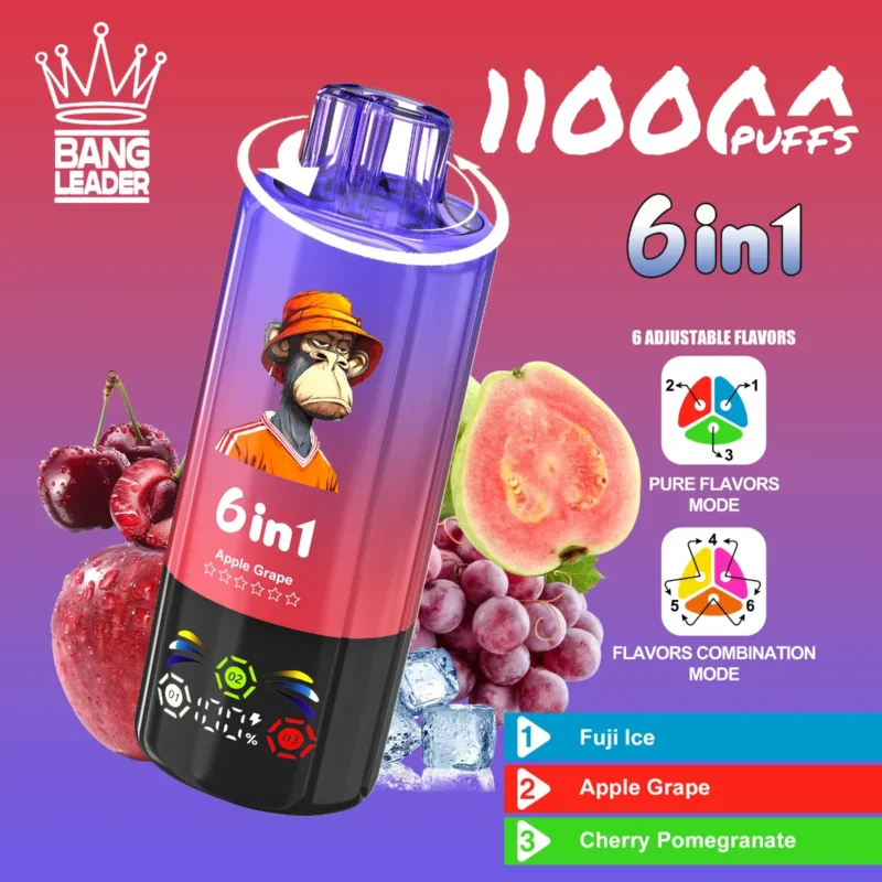 Vape 110k Bang Leader Fuji Ice Apple Grape Cherry Pomegranate Disposable Device