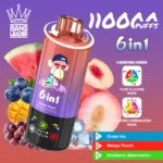 Vape 110k Bang Leader Grape Ice Mango Peach Blueberry Watermelon Disposable Device