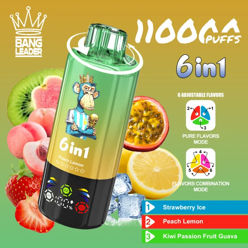 Vape 110k Bang Leader Strawberry Ice Peach Lemon Kiwi Passion Fruit Guava Disposable Device