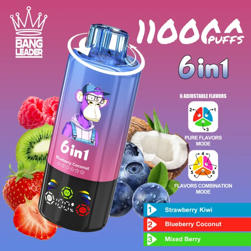 Vape 110k Bang Leader Strawberry Kiwi Blueberry Coconut Mixed Berry Disposable Device