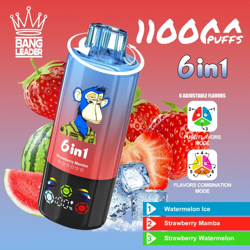 Vape 110k Bang Leader Watermelon Ice Strawberry Mamba Disposable Device