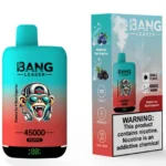 Vape 45k Bang Leader 45000 Puff Pic 1 Disposable Device