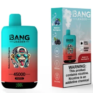 Vape 45k Bang Leader 45000 Puff Pic 1 Disposable Device