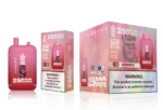 Bang King 25000 Puffs Vape 25k Wassermelone Eis Einweg-Gerät