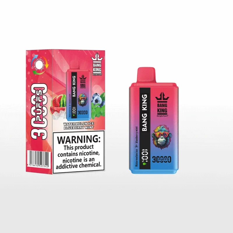 Bang King 30k Puffar Watermelon Ice Blueberry Mint Disposable Vape Device