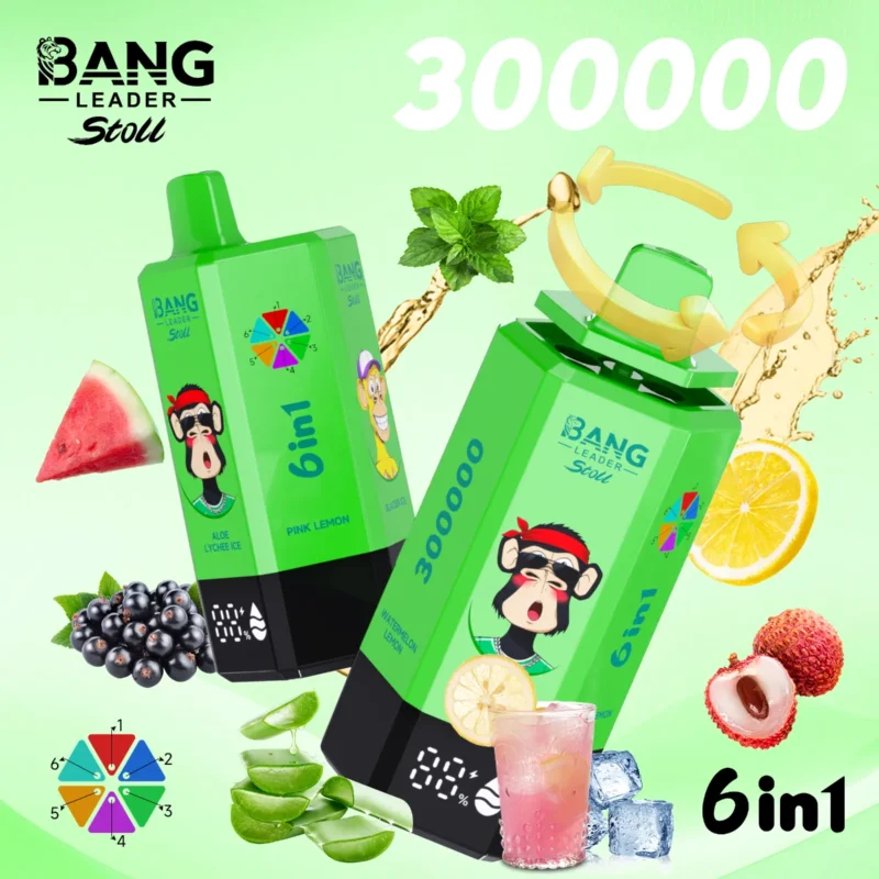 Suvaper Bang Leader 300k Puff Aloe Lychee Ice Pink Lemon Glacier Pine Needle Mint Black Currant Watermelon Disposable Va