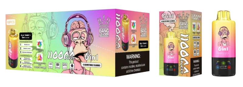 Vape 110k Bang Leader Disposable Blueberry Ice Raspberry Lemon Watermelon Bubblegum 2 Device