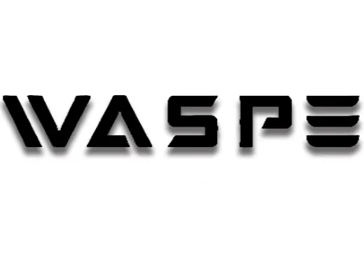Waspe Disposable Vape Device