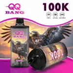 Suvaper Qq Bang 100k Puff Disposable Vape10 Vape Device