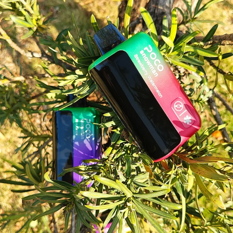 Suvaper Poco Snowman 70000 Puffs 70k Disposable Vape Blueberry Raspberry Lemonade Device