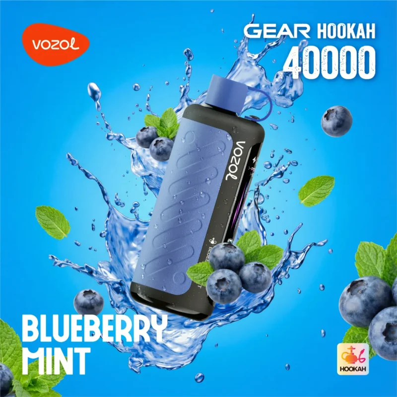 Suvaper Vozol Gear フッカー 40,000パフ ベイプ ブルーベリーミント EU倉庫 使い捨てデバイス