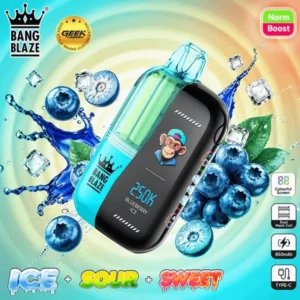 Suvaper Bang Blaze 250000 Puffs Blueberry Ice 014 Disposable Vape Device