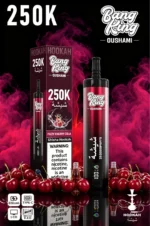 Suvaper Bang King Oushami Shisha Hookah 250000 Puffs Fizzy Cherry Cola Flavor Image 015 Disposable Vape Device