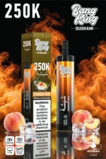 Suvaper Bang King Oushami Shisha Hookah 250000 Puffs Peach Ice Flavor Image 011 Disposable Vape Device