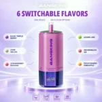 Suvaper Bang King Sixer 360 000 bloss, 6-i-1-smakskombination, 01 016, engångsvapeenhet