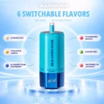 Suvaper Bang King Sixer 360 000 bloss, 6-i-1-smakskombination, 09 025, engångsvapeenhet