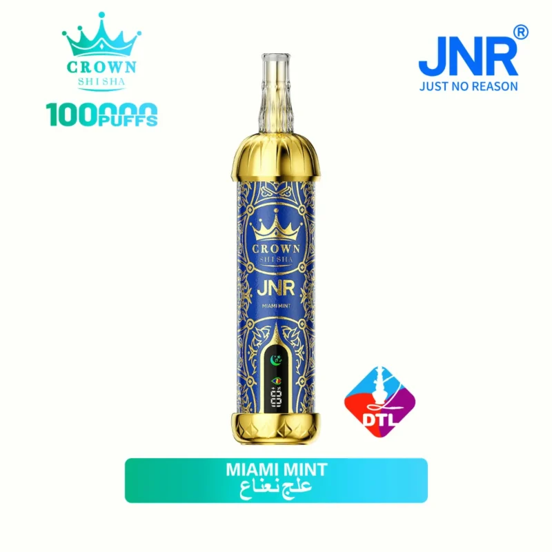 Suvaper Jnr Crown Shisha 100 000 bloss, smak: Mint, 13 EU-lager